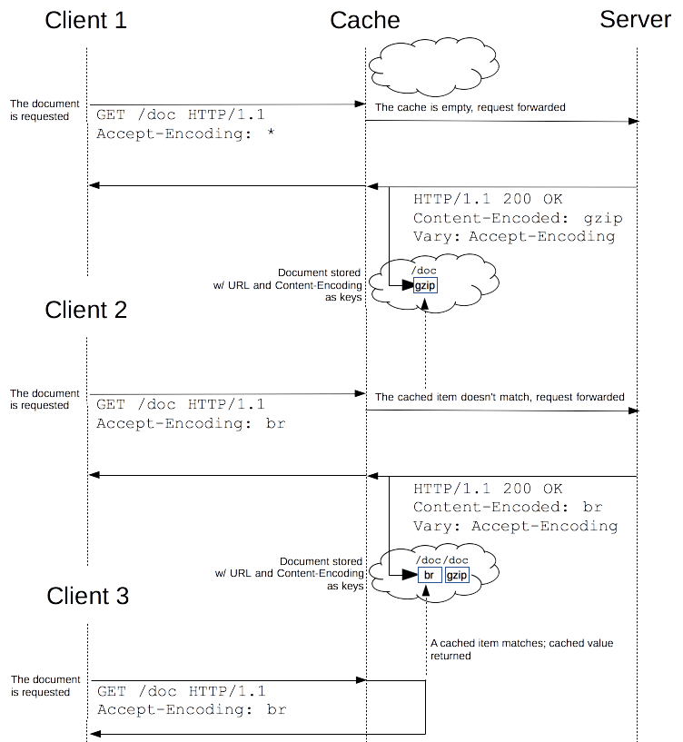 The Vary header leads cache to use more HTTP headers as key for the cache.